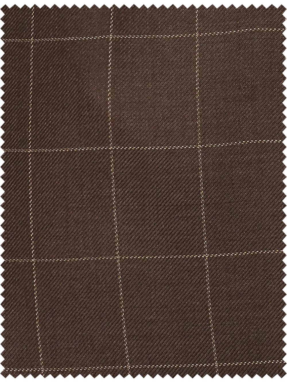 Tailored Fit Essential Wool Pleated Pants - Brown